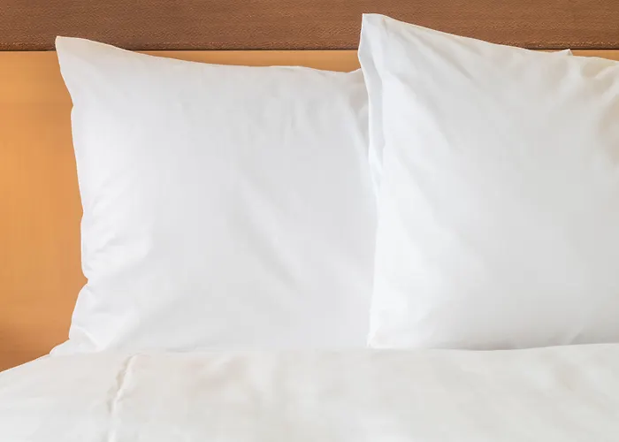 Holiday Inn Chicago Sw-Countryside Confctr By Ihg