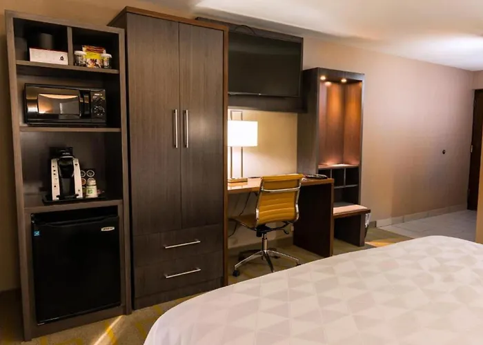 Holiday Inn Chicago Sw-Countryside Confctr By Ihg