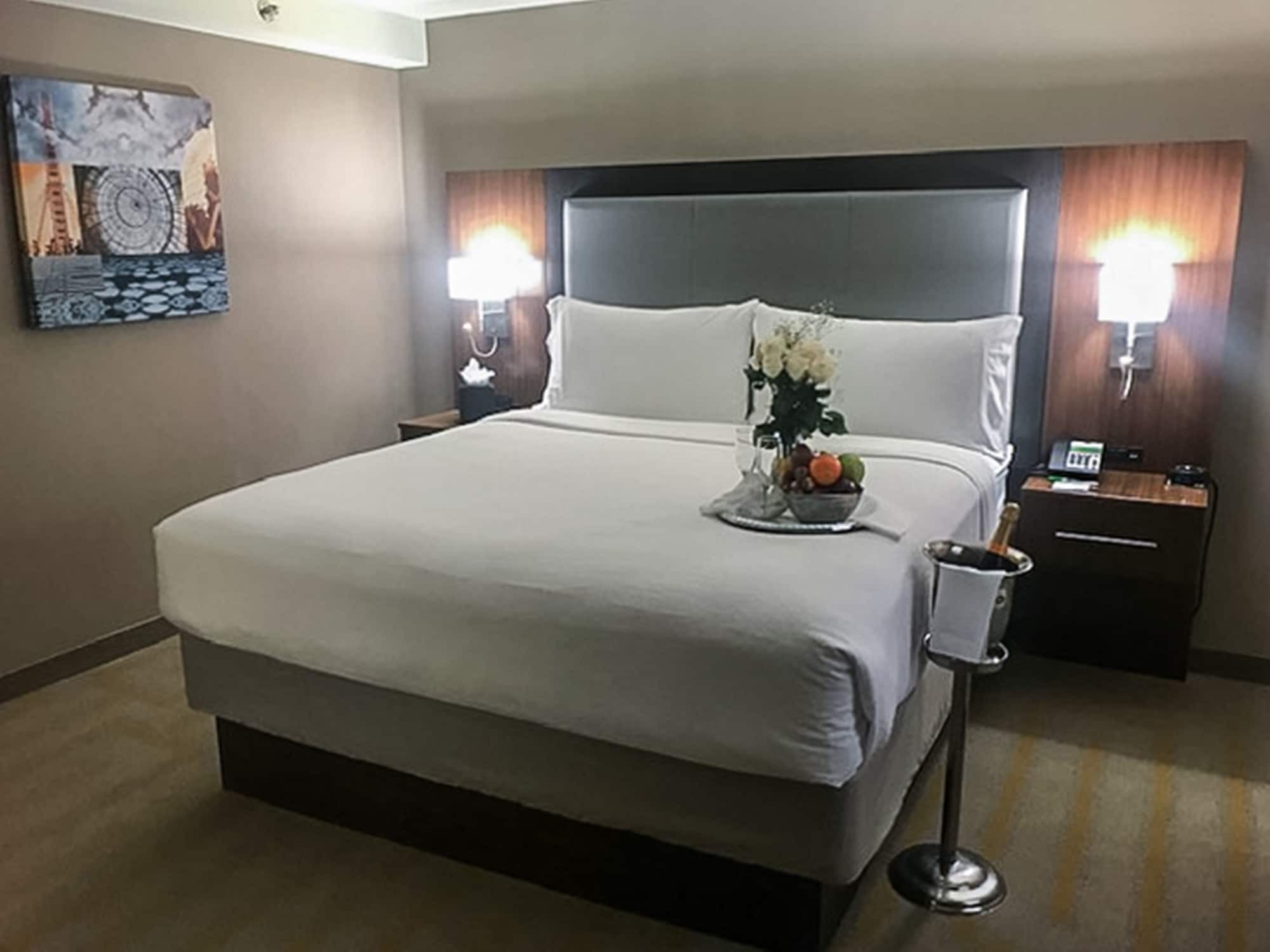 Hotel Chicago Sw-countryside Confctr By Ihg